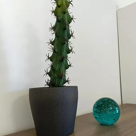 דירה Beautiful 1 Bedroom With Mountain View לוס סילוס