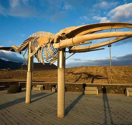 Beautiful 1 Bedroom With Mountain View Апартаменты Лос-Силос