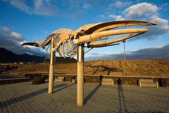 Beautiful 1 Bedroom With Mountain View Appartamento Los Silos